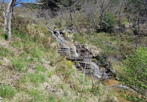 cascada de aguasal.JPG