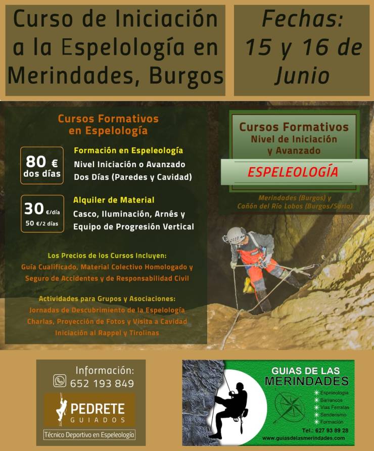 60344650_1379743925498576_2481599685215649792_o